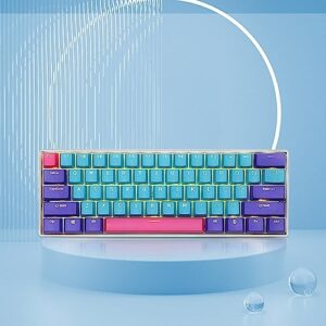 BOYI Wired 60% Mechanical Gaming Keyboard,61 Mini RGB Cherry MX Switch PBT Keycaps NKRO Programmable Type-C Keyboard for Gaming and Working (Joker Color,Cherry MX Blue Switch)