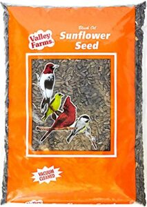 valley farms black oil sunflower seed wild bird food (10 lbs)