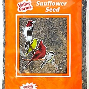 Valley Farms Black Oil Sunflower Seed Wild Bird Food (10 LBS)