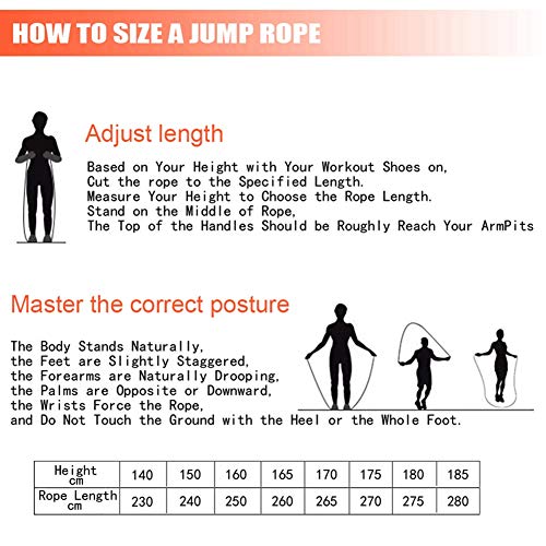 Redify 2 Pack Adjustable Jump Rope for Workout, Fitness Jump Rope for Men Women and Kids, Speed Jumping Rope for Exercise