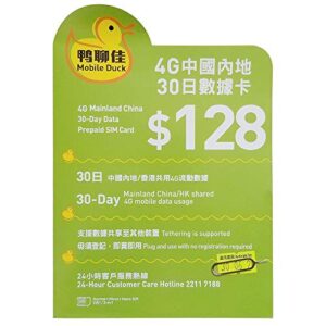 china sim card 30 days share 9gb data usage then unlimited plug to go