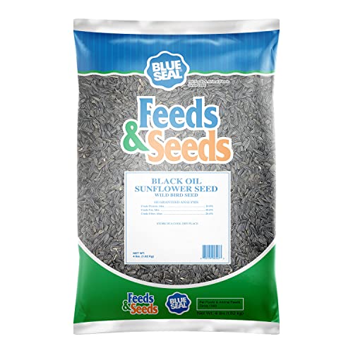 Blue Seal Premium Black Oil Sunflower Wild Bird Seed - High in Fat and Protein - 4 Pound Bag