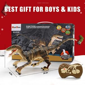 Hot Bee Remote Control Dinosaur Toys for Boys 4-7 8-12, Walking Robot Dinosaur Toy w/Light & Roaring Simulation Velociraptor, Dinosaur Gifts for Boys Age 4 5 6 7 8-12