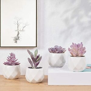 CADNLY Fake Succulent Plant Set for Women Desk - Realistic Artificial Mini Purple Succulent Décor in Ceramic Planter Pots for Bedroom Bathroom Office Shelf Decor