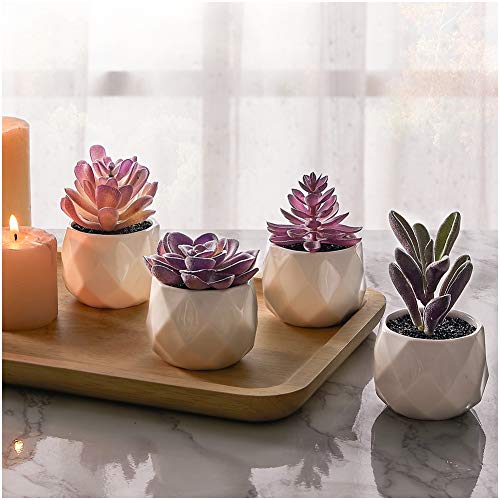 CADNLY Fake Succulent Plant Set for Women Desk - Realistic Artificial Mini Purple Succulent Décor in Ceramic Planter Pots for Bedroom Bathroom Office Shelf Decor