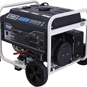 Pulsar PG6580E Portable Generator, Black&White