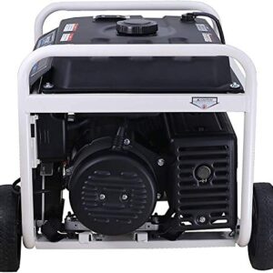 Pulsar PG6580E Portable Generator, Black&White