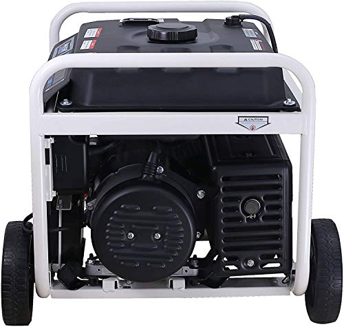 Pulsar PG6580E Portable Generator, Black&White