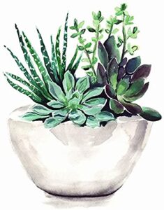 paint by numbers for adults, diy painting kit for beginners, 16” x 20” succulent pot acrylic painting is suitable for living room, bedroom and decoration gift