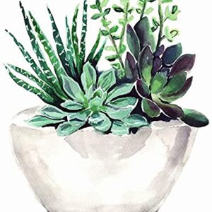 Paint by Numbers for Adults, DIY Painting Kit for Beginners, 16” x 20” Succulent Pot Acrylic Painting is Suitable for Living Room, Bedroom and Decoration Gift