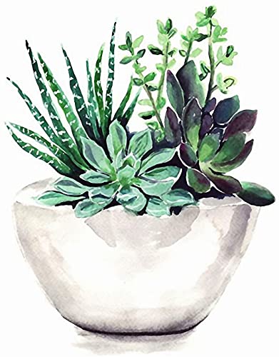 Paint by Numbers for Adults, DIY Painting Kit for Beginners, 16” x 20” Succulent Pot Acrylic Painting is Suitable for Living Room, Bedroom and Decoration Gift