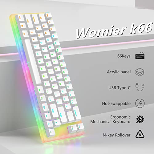 Womier K66 60% Mechanical Keyboard, Hot Swappable Wired RGB Backlit Keyboard, Gateron Switch Acrylic Gaming Keyboard for PC PS4 Xbox (Brown Switch,White)