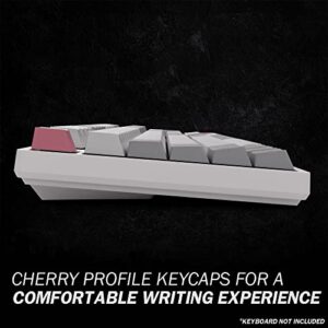 HK Gaming Custom Keycaps | Dye Sublimation PBT Keycap Set for Mechanical Keyboard | 139 Keys | Cherry Profile | ANSI US-Layout | Compatible with Cherry MX, Gateron, Kailh, Outemu | Modern Dolch Light