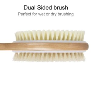 2PCS QUNCI Shower Brush Set - Double-Sided Brush Head for Wet or Dry Brushing, Bath Body Exfoliating Brush, Dry Skin Body Exfoliator&Lotion Applicator for Your Back