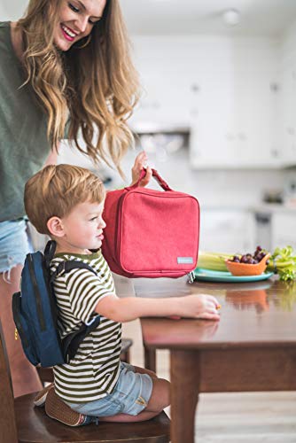 Simple Modern Kids Lunch Box for Toddler | Reusable Insulated Bag for Boys | Meal Containers for School with Exterior and Interior Pockets | Hadley Collection | Bermuda Deep