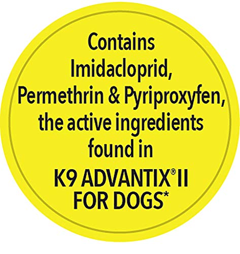 Activate II Flea and Tick Prevention for Dogs, XL Dogs 55+ lbs, Fast Acting Flea Drops, 8 Count