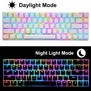 60% Mechanical Gaming Keyboard Blue Switch Mini 68 Keys Wired Type C 18 Backlit Effects,Lightweight RGB 6400DPI Honeycomb Optical Mouse,Gaming Mouse pad for Gamers and Typists (White)