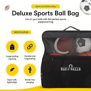 Complete Sports Ball Set - Outdoor Sports Balls in Carry Bag - Sport Balls Kit with Pump for Adults and Kids - Branded Soccer Ball, Basketball, Volleyball, American Football, Dodgeball Playground Ball