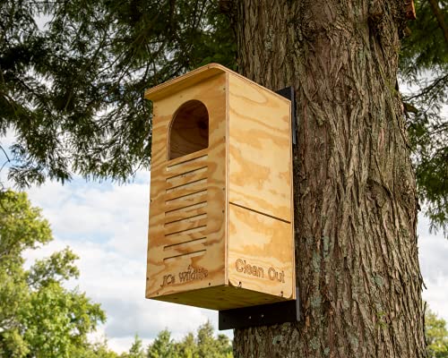 JCs Wildlife Barred Owl Nesting Box - Treated Exterior Grade Plywood - Mounting Hardware and Pine Shavings Included - Dedicated Clean Out Door for Easy Cleaning - Made in The USA