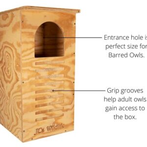 JCs Wildlife Barred Owl Nesting Box - Treated Exterior Grade Plywood - Mounting Hardware and Pine Shavings Included - Dedicated Clean Out Door for Easy Cleaning - Made in The USA