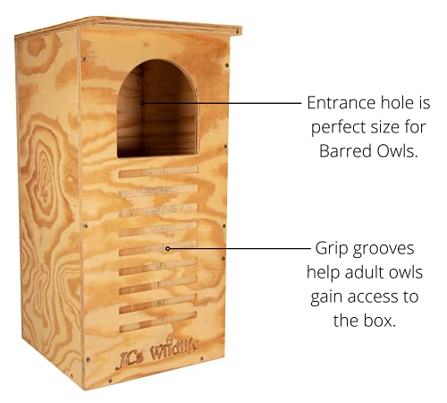 JCs Wildlife Barred Owl Nesting Box - Treated Exterior Grade Plywood - Mounting Hardware and Pine Shavings Included - Dedicated Clean Out Door for Easy Cleaning - Made in The USA