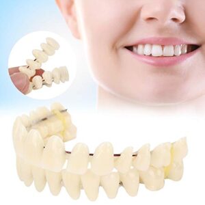 280pcs/10 set resin denture false teeth, dental teeth teaching model, resin denture for patients with oral cavity loss,dental supply accessory
