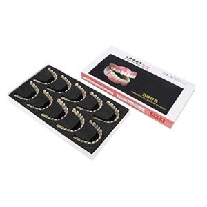 280pcs/10 Set Resin Denture False Teeth, Dental Teeth Teaching Model, Resin Denture for Patients with Oral Cavity Loss,Dental Supply Accessory