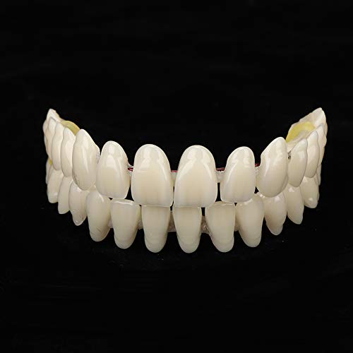 280pcs/10 Set Resin Denture False Teeth, Dental Teeth Teaching Model, Resin Denture for Patients with Oral Cavity Loss,Dental Supply Accessory