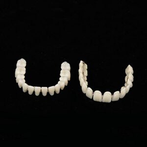 280pcs/10 Set Resin Denture False Teeth, Dental Teeth Teaching Model, Resin Denture for Patients with Oral Cavity Loss,Dental Supply Accessory