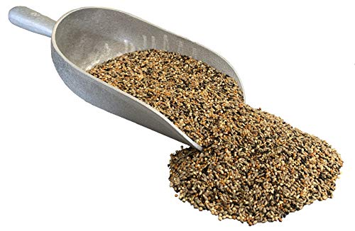 Pendelton Turf Supply Wild Finch Mix Extra | All-Natural, Premium Bird Seed (9 lbs Resealable Bag)