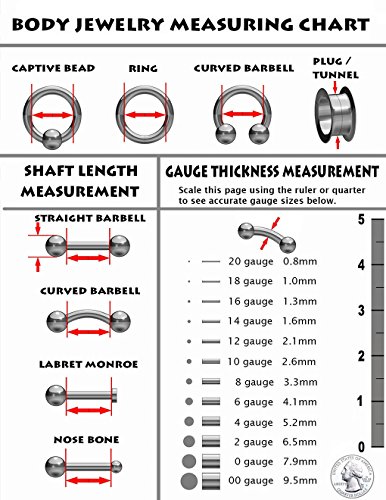 Amelia Fashion Implant Grade Titanium Threadless Push in Labret, Flat Back Studs with CZ Prong Set Top for Cartilage, Monroe, Nose and More (Choose Size) (18GA (1mm) L.1/4" (6mm) BALL: 3mm)