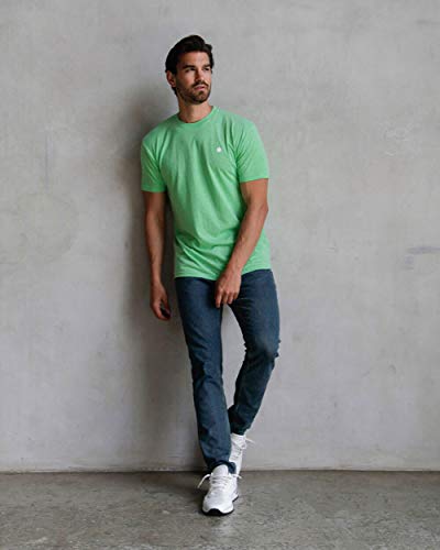 INTO THE AM Premium Men's Fitted Crew Neck Basic Tees - Modern Fit Fresh Classic Short Sleeve Logo T-Shirts for Men (Light Green, Large)