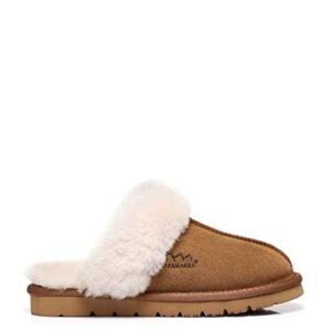 TARRAMARRA Muffin Australian Sheepskin Slippers, Premium Australian Shearling Scuff Slippers Fur Collar Slip-on House Shoes For Women and Men Chestnut US Women 8