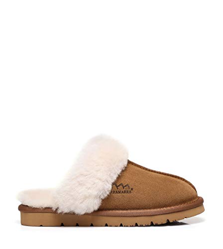 TARRAMARRA Muffin Australian Sheepskin Slippers, Premium Australian Shearling Scuff Slippers Fur Collar Slip-on House Shoes For Women and Men Chestnut US Women 8