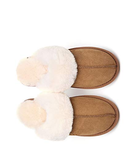 TARRAMARRA Muffin Australian Sheepskin Slippers, Premium Australian Shearling Scuff Slippers Fur Collar Slip-on House Shoes For Women and Men Chestnut US Women 8