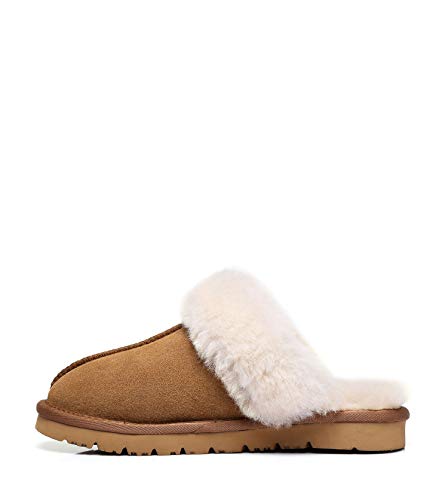 TARRAMARRA Muffin Australian Sheepskin Slippers, Premium Australian Shearling Scuff Slippers Fur Collar Slip-on House Shoes For Women and Men Chestnut US Women 8