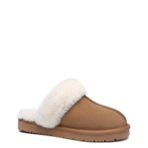 TARRAMARRA Muffin Australian Sheepskin Slippers, Premium Australian Shearling Scuff Slippers Fur Collar Slip-on House Shoes For Women and Men Chestnut US Women 8