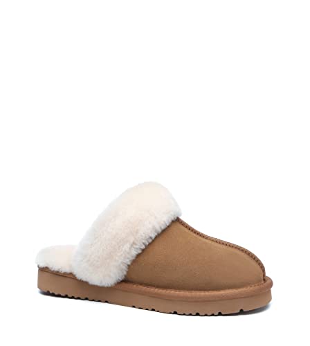 TARRAMARRA Muffin Australian Sheepskin Slippers, Premium Australian Shearling Scuff Slippers Fur Collar Slip-on House Shoes For Women and Men Chestnut US Women 8