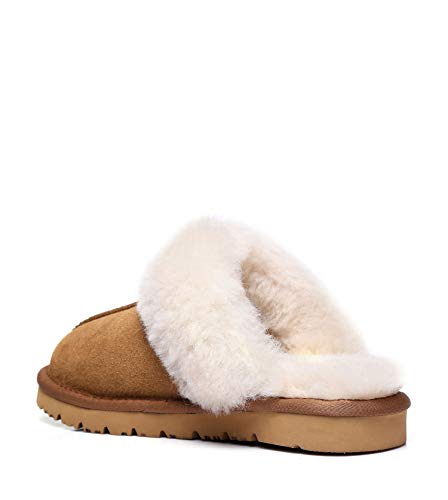 TARRAMARRA Muffin Australian Sheepskin Slippers, Premium Australian Shearling Scuff Slippers Fur Collar Slip-on House Shoes For Women and Men Chestnut US Women 8