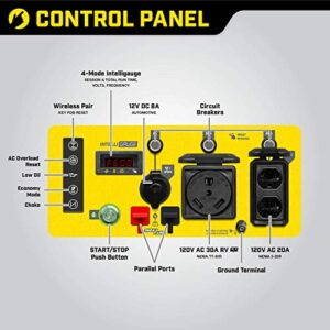 Champion Power Equipment 200953 4250-Watt Open Frame Inverter, Remote Start