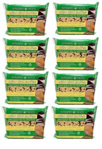 songbird treats seed bars | 8 pack of 2 lb bird seed cakes for wild birds (wild bird buffet)