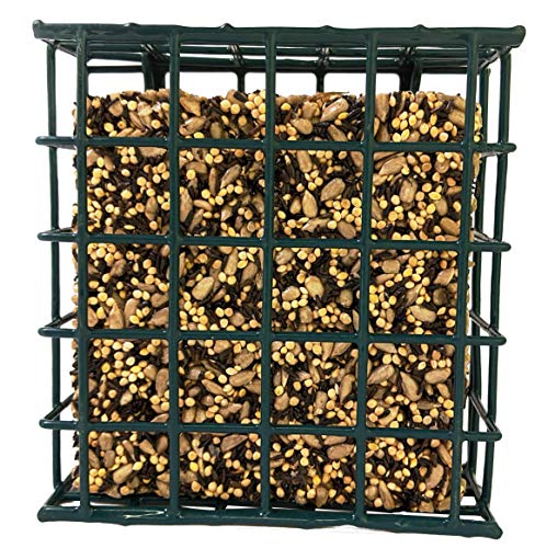 Songbird Treats Seed Bars | 12 Pack of 7 oz Bird Seed Cakes for Wild Birds (Sunny Mealworm)
