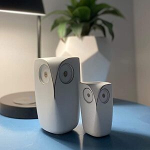 Huey House Wise Owl Decor Statue Sculptures - Set of 2 Small White Resin Figurines, 5¾ & 4 inches high