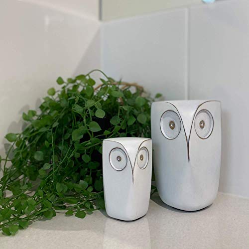 Huey House Wise Owl Decor Statue Sculptures - Set of 2 Small White Resin Figurines, 5¾ & 4 inches high