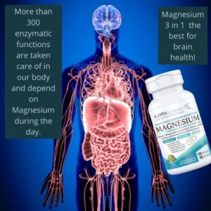 Magnesium, L-Threonate (120 Capsules), 2,253mg Per Serving, Providing 420mg Elemental, Bisglycinate Chelate, Malate, for Brain, Sleep, Stress, Cramps, Headaches, Energy, Heart, from Kappa Nutrition.