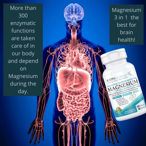 Magnesium, L-Threonate (120 Capsules), 2,253mg Per Serving, Providing 420mg Elemental, Bisglycinate Chelate, Malate, for Brain, Sleep, Stress, Cramps, Headaches, Energy, Heart, from Kappa Nutrition.