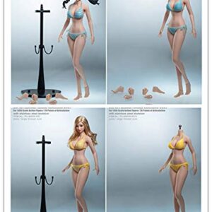 HiPlay TBLeague Seamless Action Figure Anime Girl Body Type and Large Bust 1:6 Scale S37(Pale, with Head)