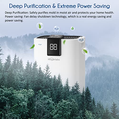 HOGARLABS 2500 Sq. Ft Dehumidifier for Basements,Home,Large Room,35 Pint with Drain Hose and Wheels,Intelligent Humidity Control,Laundry Dry, Auto Defrost,24H Timer,Automatic Drain for Office, Bathroom and Bedroom