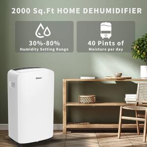 Shinco 40 Pints Dehumidifier for Home and Basements, 2000 Sq.Ft Dehumidifier with Drain Hose, Auto or Manual Drainage, Auto Defrost, Quietly Remove Moisture, Intelligent Humidity Control, 24HR Timer