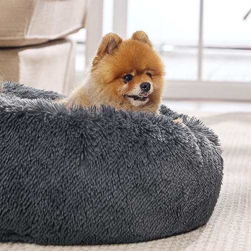 Bedsure Calming Dog Bed for Small Dogs - Donut Washable Small Pet Bed, 23 inches Anti-Slip Round Fluffy Plush Faux Fur Large Cat Bed, Fits up to 25 lbs Pets, Dark Grey